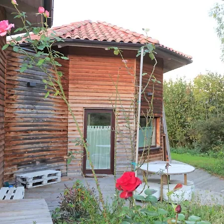 Mini Casa Con Jardin