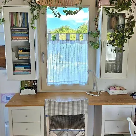 Mini Casa Con Jardin *