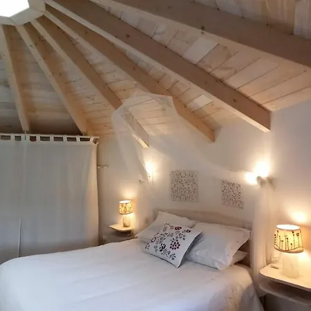 Mini Casa Con Jardín